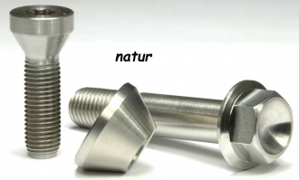 Titan (Ti6Al4V) - rear wheel bolt nature