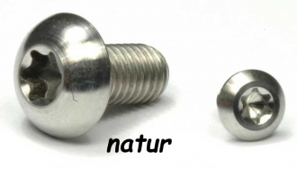 TRX - Titan (Ti6Al4V) nature - brake disc screw