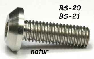 Titan (Ti6Al4V) - Bremsscheibenkits Sonderfarben