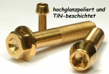 Titan (Ti6Al4V) - Vorderrad Achsschraube Sonderf.