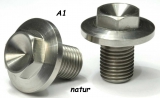 Titan (Ti6Al4V) - front wheel axle screw nature