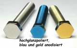 Titan (Ti6Al4V) - chain tensioner bolts specialcolors