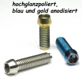 Keen so Fahrradvorbau Schraube mit Dichtung, 6-teilige Schraube mit  Dichtung für Mountainbike-Schaft Titanlegierung M5x20mm