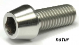 TCK (Kopfdurchmesser 7,9 mm) Titan (Ti6Al4V) natur